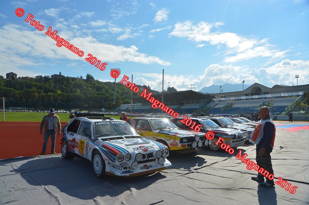 DSC_7366.JPG